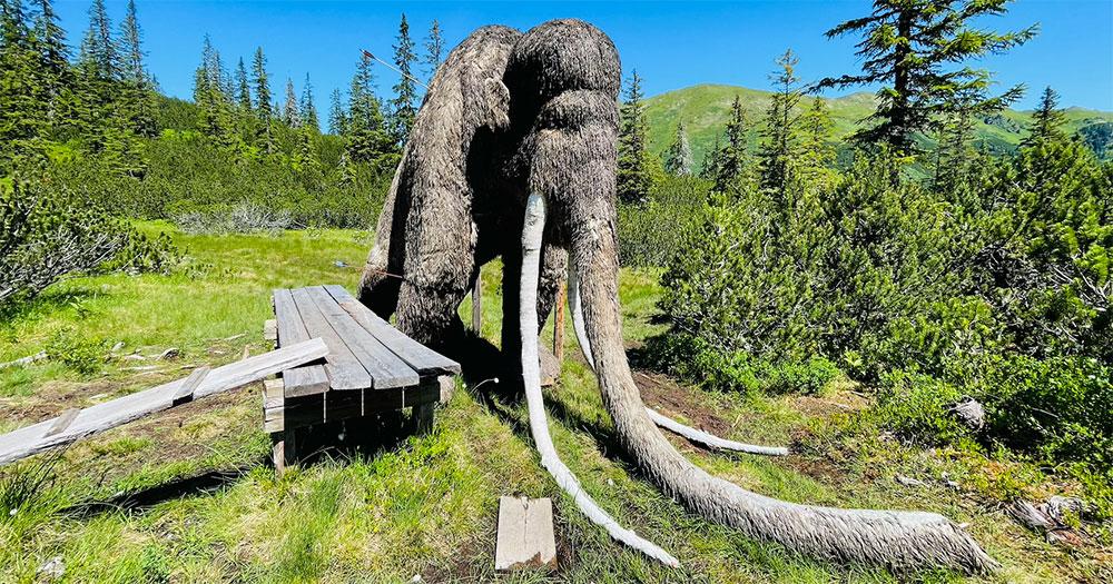 Parcoursbesuch - Robin Hood Land / Planneralm - Bogensportinfo