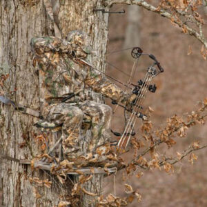 Bogenjagd - Bogensportinfo