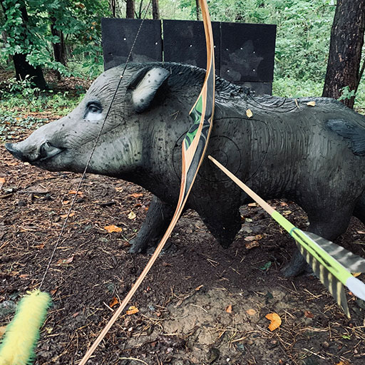 Langbogen - Bogensportinfo