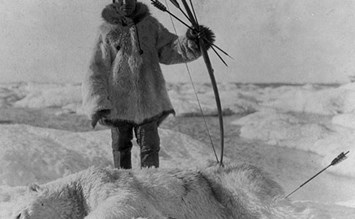 Eskimo Bogen - Bogensportinfo