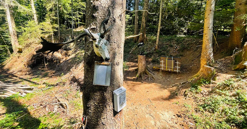 Course visit - Archery Eichenberg - Bogensportinfo