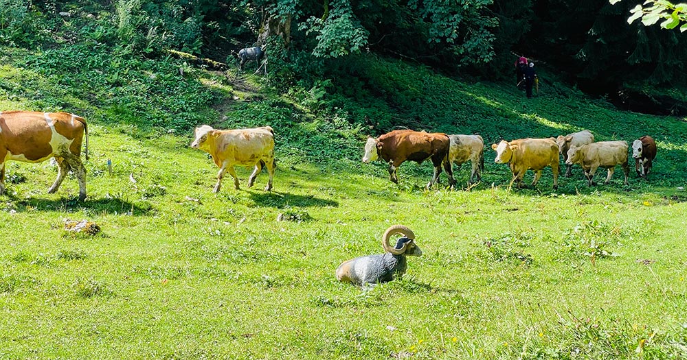 Parcoursbesuch FAC Götzis - Bogensportinfo