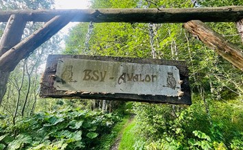 Parcoursbesuch BSV Avalon - Bogensportinfo