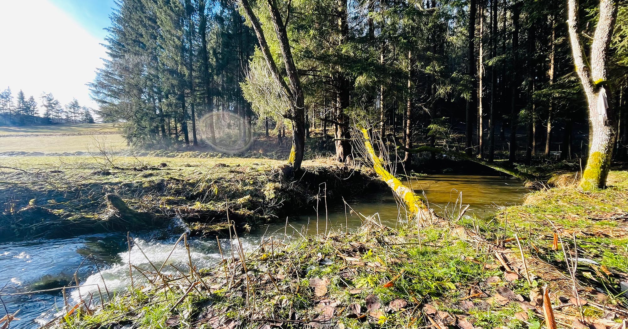 Course visit - BSP Waldenfels - Bogensportinfo