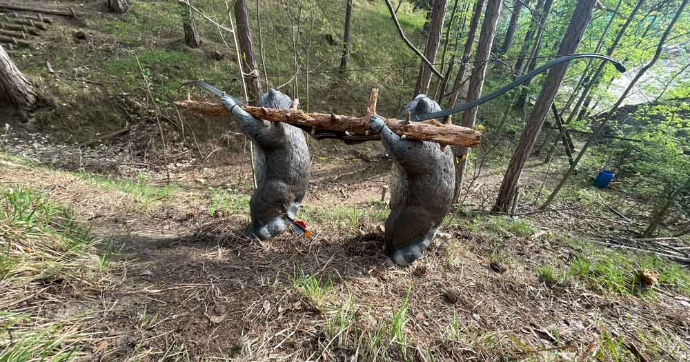 Course visit - 1. BSC Piestingtal / Hauer Hill - Bogensportinfo