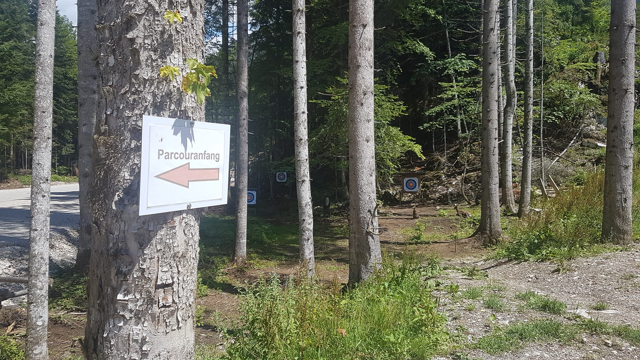 Parcoursbesuch - Salzkammergut Bogensport Club - Bogensportinfo
