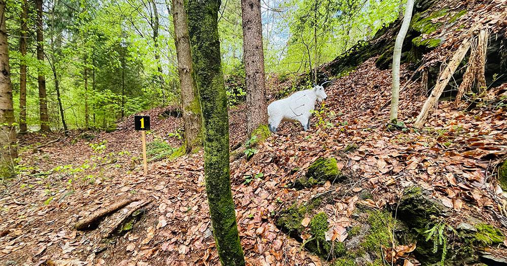 Parcoursbesuch - BSC Wörthersee - Bogensportinfo