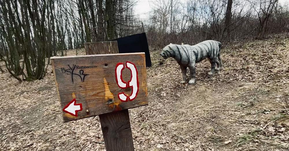 Course visit - BSV Russbachtal - Bogensportinfo