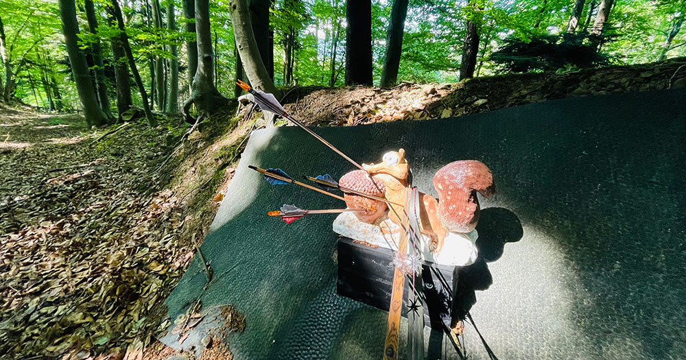 3D Bogenparcours Rosenbaum