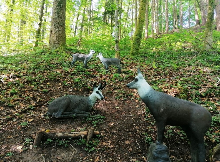3D Parcour Bogenschießen - Bogenparcours SC Diana Oberheimbach