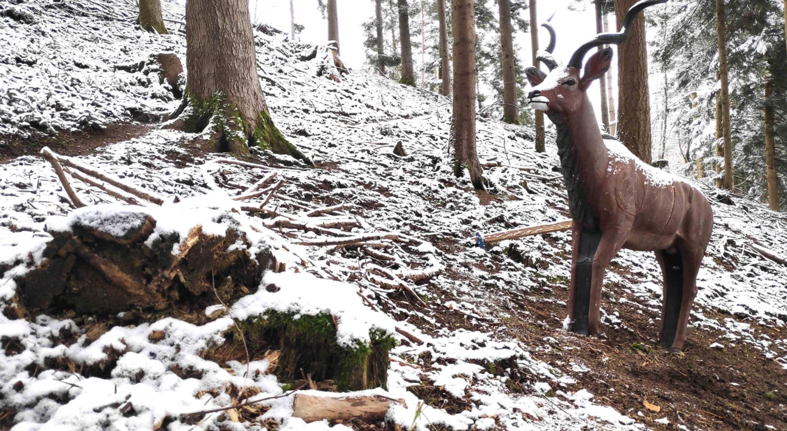 3D Parcour Bogenschießen - Bogenparcours Forbach