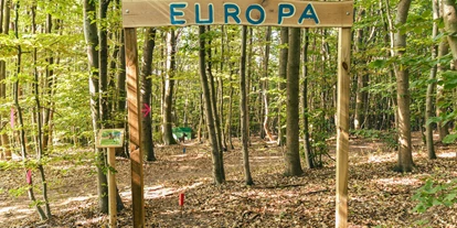 Parcours - unsere Anlage ist: für alle geöffnet - Panzing - Weltreise: Europa - Bogenparcours Scheiblingstein