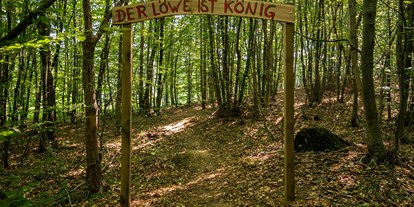 Parcours - Toilettanlagen: ja 24/7 geöffnet - Niederösterreich - Zauberwald: Erkundet das Königreich des Löwen. - Bogenparcours Scheiblingstein