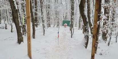 Parcours - erlaubte Bögen: Compound - Rassing - Zauberhafter Winter. Unsere Parcours machen ganzjährig Spaß - Bogenparcours Scheiblingstein