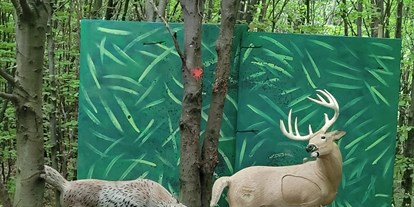 Parcours - Targets: 3D Tiere - Österreich - Auf Weltreise - Bogenparcours Scheiblingstein