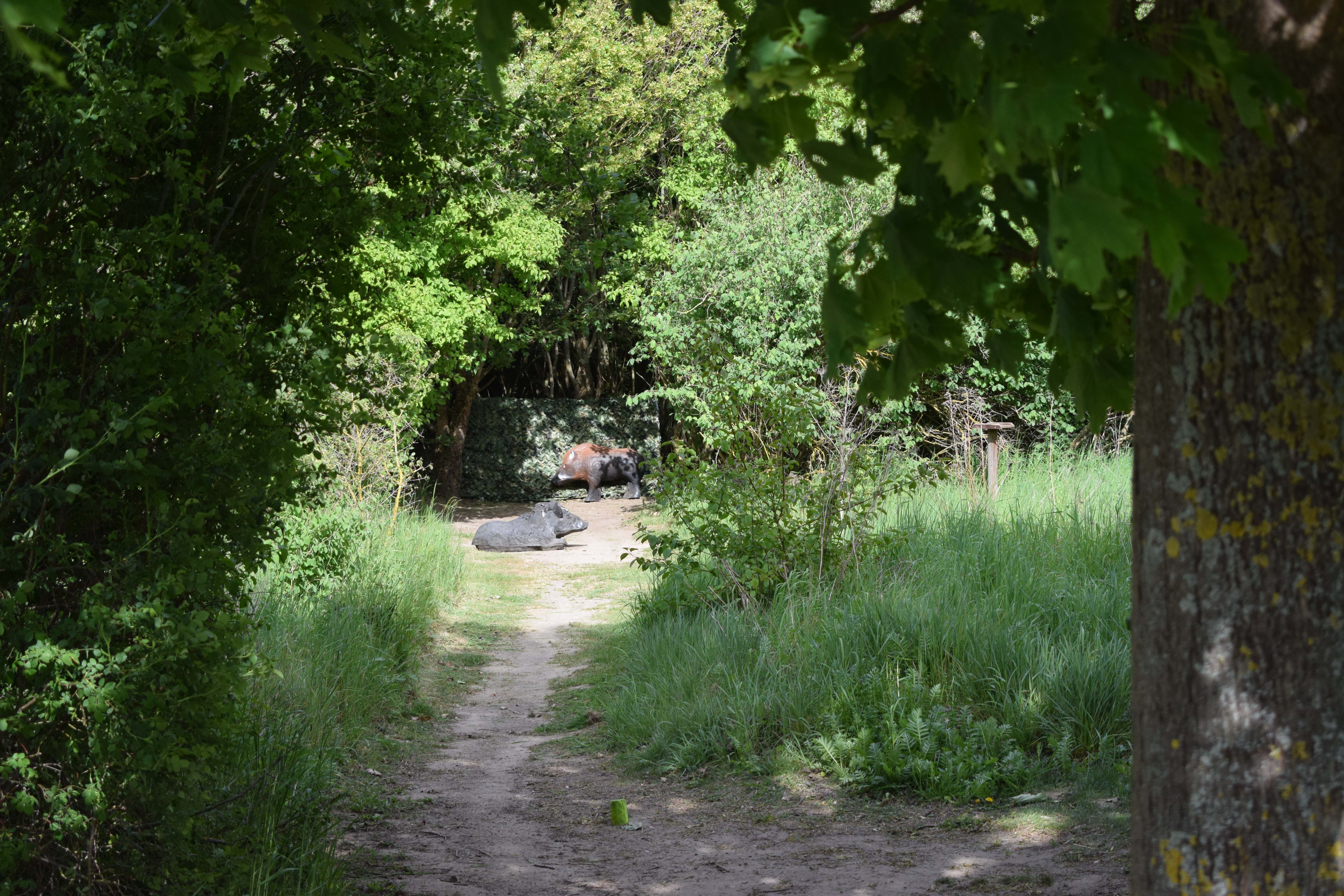 Einkaufen: BOWHUNTER World