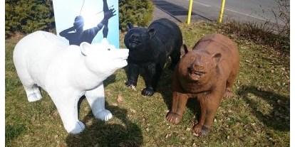 Parcours - Sortiment: 3D Tiere - Franken - Unser Bär in lebensgroßer Nachbildung. Als Schwarzbär, Braunbär oder Eisbär erhältlich. - CSS