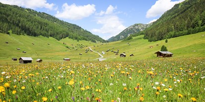 Parcours - Betrieb: Ausflugsziel - Wanderparadies Pfundser Tschey mit seinen unzähligen Heustadeln. - Ferienregion Tiroler Oberland