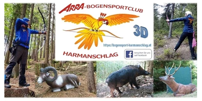 Parcours - Verleihmaterial: mit Voranmeldung möglich - Maierhof (Bad Zell) - Arra 3D-Bogensportparcours