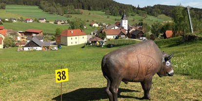 Parcours - Schussdistanz: nah bis weit gestellt - Niederösterreich - Arra 3D-Bogensportparcours