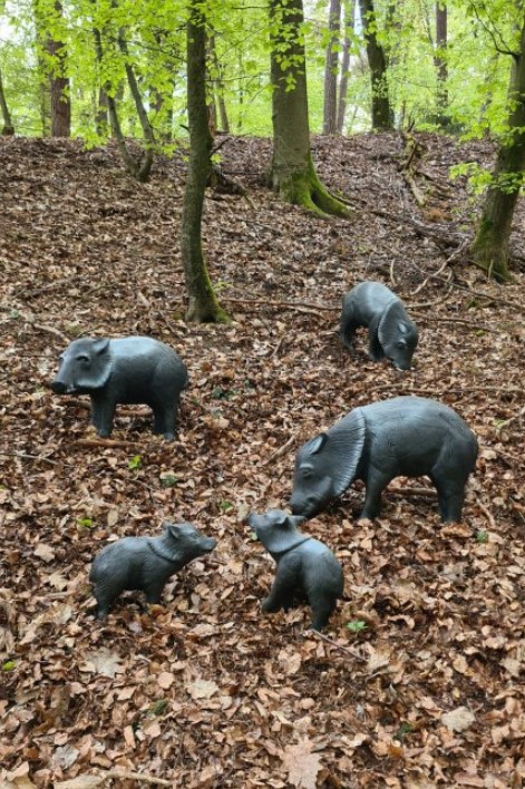 3D Parcour Bogenschießen - 3D Bogenparcours  „am alten Schloss“ Kleinwallstadt