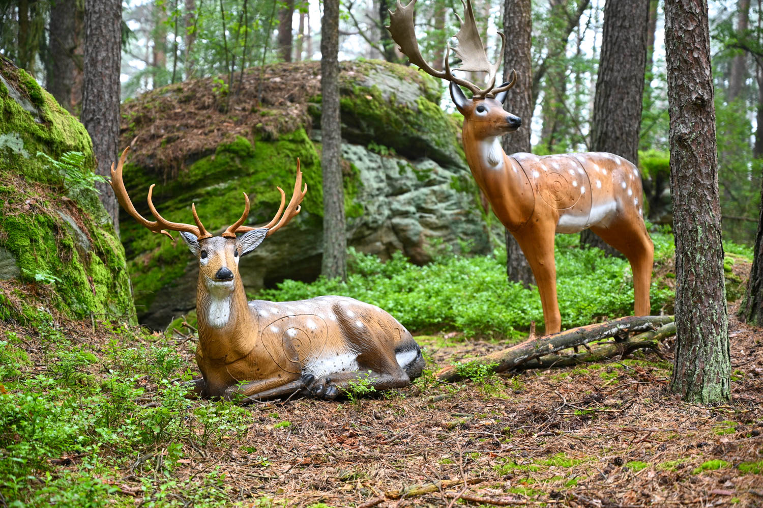 3D Parcour Bogenschießen - Felsenkellerparcours der Bowhunter Oberlangenstadt