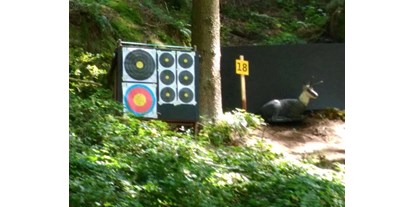 Parcours - Art der Schießstätte: Trainingsplatz mit Scheiben - Oberösterreich - ASKÖ-Luftenberg