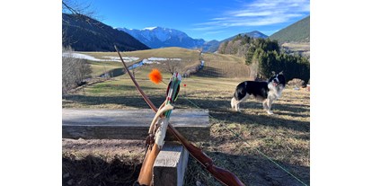 Parcours - Abschusspflöcke: exakt nach IFAA - Wienerwald Süd-Alpin - 3D Bogensport Puchberg