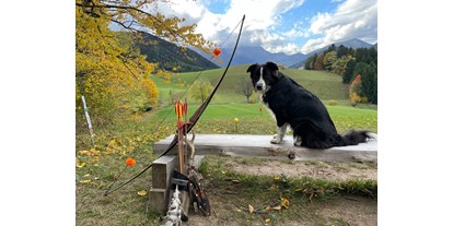 Parcours - Schussdistanz: anspruchsvoll - Wienerwald Süd-Alpin - 3D Bogensport Puchberg