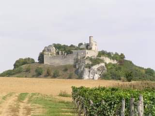 3D archery course - Bogensport Falkenstein