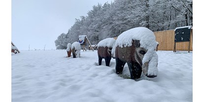 Parcours - Targets: 3D Tiere - Österreich - Der Einschussplatz im Winter - Bogensport Pottenbrunn