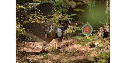 Parcours - Targets: 3D Tiere - Österreich - 3D-Bogenparcours in Lackenhof am Ötscher