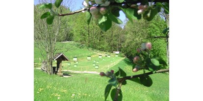 Parcours - Abschusspflöcke: eigene Wahl der Pflöcke - Pregarten - Bogensport Schneeberger