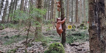 Parcours - Verpflegung: Snackautomat - Oberösterreich - Stoneface Archery