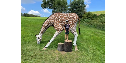 Parcours - erlaubte Bögen: Compound - Schild - Giraffe lebensgroß  - Bogensport Bad Zell