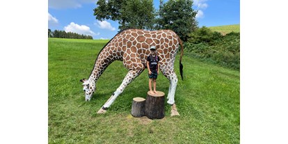 Parcours - erlaubte Bögen: Blasrohr - Pregarten - Giraffe lebensgroß  - Bogensport Bad Zell