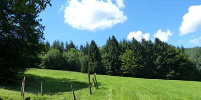 Parcours - Mühlberg (Lichtenberg) - Ramingtaler Bogenparcour / Bogenkino 