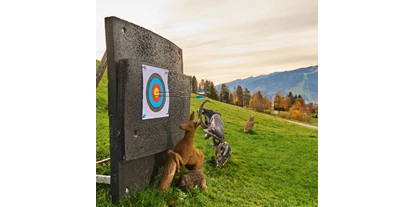 Parcours - erlaubte Bögen: Traditionelle Bögen - Jochberg (Mittersill, Hollersbach im Pinzgau) - Kohlschnait 3D Bogenpark