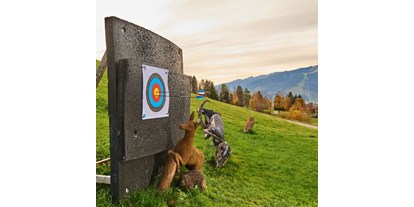 Parcours - erlaubte Bögen: Traditionelle Bögen - Pinzgau - Kohlschnait 3D Bogenpark