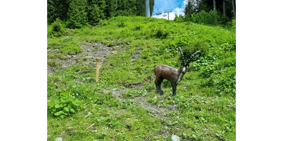 Parcours - Hunde am Parcours erlaubt - Schönberg im Stubaital - Bogenpark Hochfügen