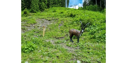 Parcours - Hunde am Parcours erlaubt - Österreich - Bogenpark Hochfügen