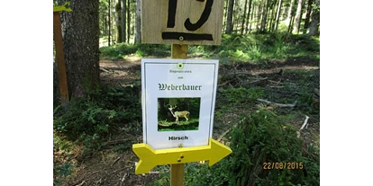 Parcours - unsere Anlage ist: für alle geöffnet - Jochberg (Mittersill, Hollersbach im Pinzgau) - Weberbauer's Bogenparcours