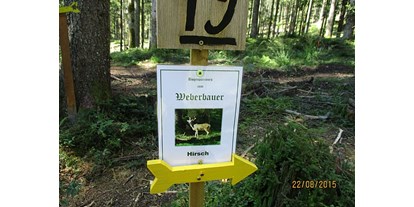 Parcours - Schussdistanz: nah bis weit gestellt - Pankrazberg - Weberbauer's Bogenparcours