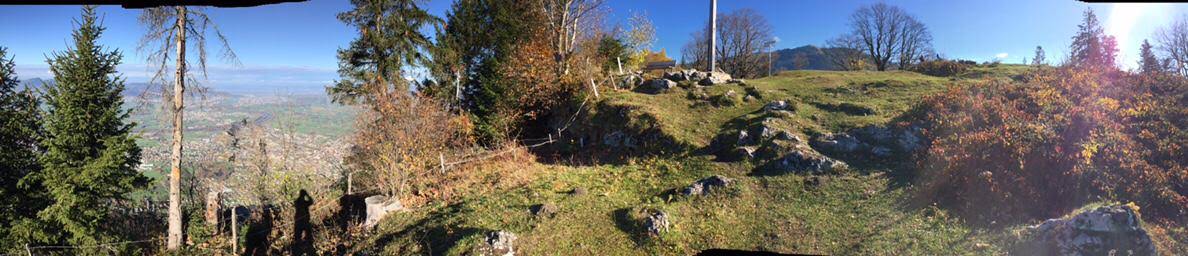 3D archery course - FAC Götzis - 3D Parcours Spallen