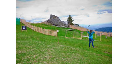 Parcours - erlaubte Bögen: Compound - Steiermark - Altes Almhaus, BSC Holzmichl