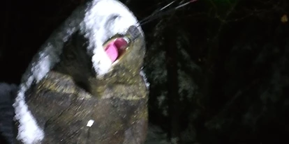 Parcours - Toilettanlagen: ja 24/7 geöffnet - Blasnitzen / Plaznica - Im Winter bei Nacht da kriegt der Bär Eins auf die Nase - Die Bogenflüsterei