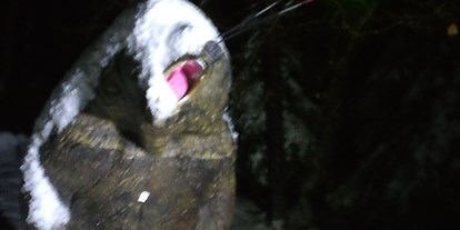 Parcours - erlaubte Bögen: Compound - St. Martin am Silberberg - Im Winter bei Nacht da kriegt der Bär Eins auf die Nase - Die Bogenflüsterei