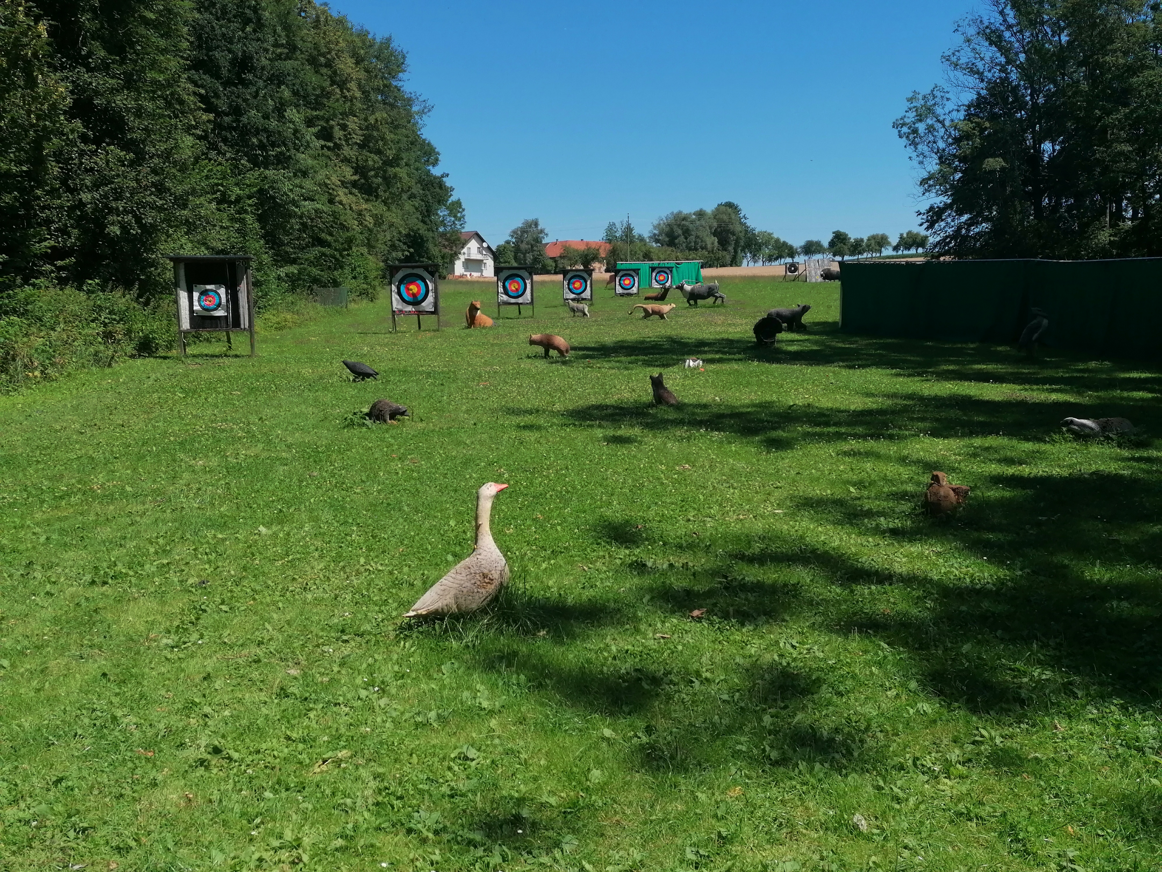 3D Parcour Bogenschießen - Einschuss Platz - BSV Kremstal