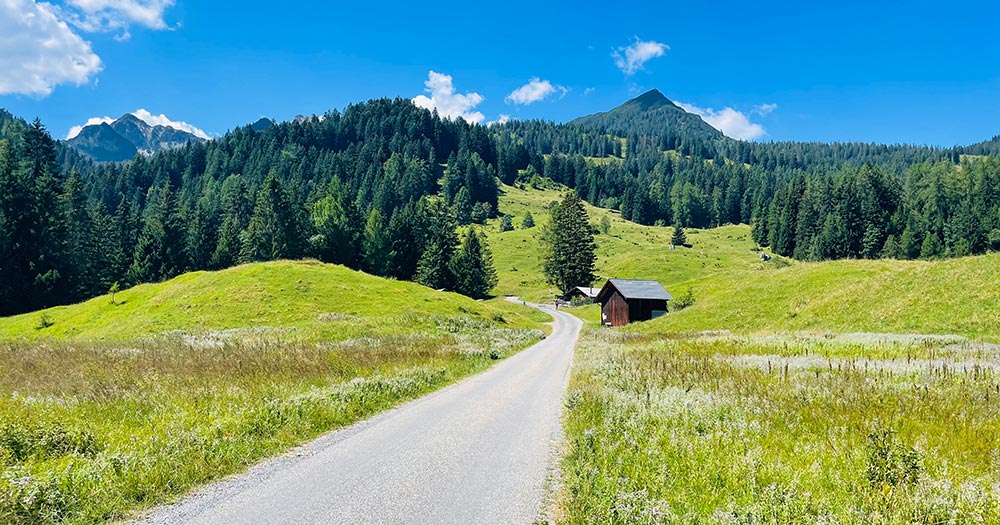 3D archery course - ACS Brand Parcours Bürserberg