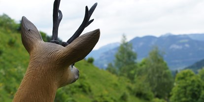 Parcours - Abschusspflöcke: IFAA angelehnt - Steiermark - Bogenparcours Wennermoserhof